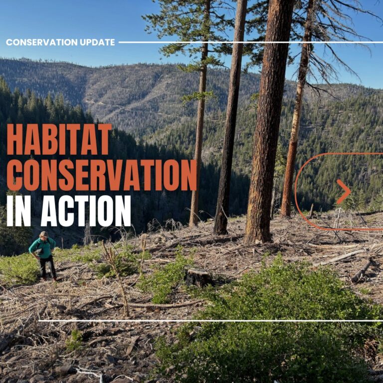 Instagram post from caldeerassoc. This post is in position 1.