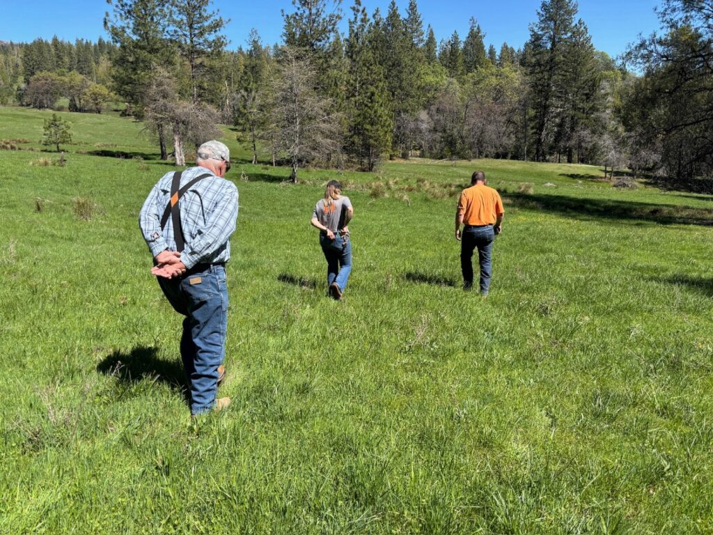 Instagram post from caldeerassoc. This post is in position 2.