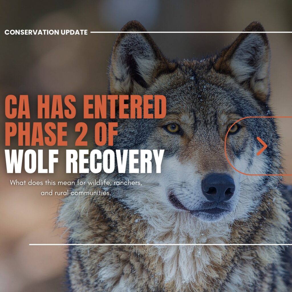 Instagram post from caldeerassoc. This post is in position 0.