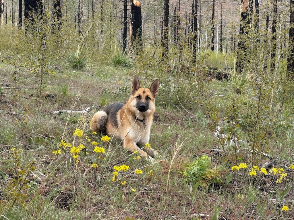 Instagram post from caldeerassoc. This post is in position 1.