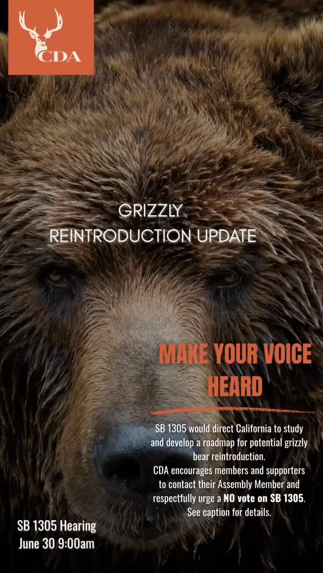 Instagram post from caldeerassoc. This post is in position 0.