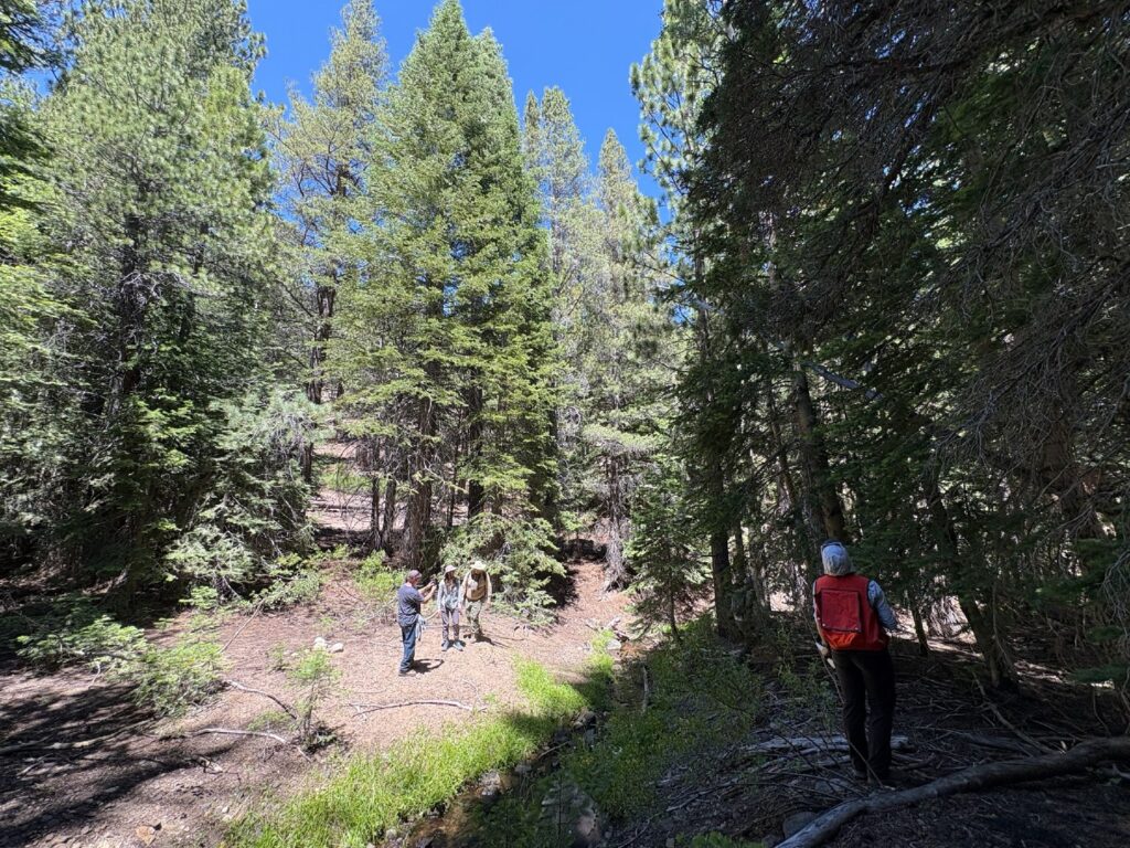 Instagram post from caldeerassoc. This post is in position 2.