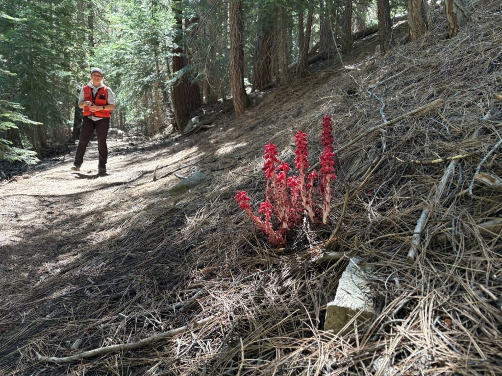 Instagram post from caldeerassoc. This post is in position 4.