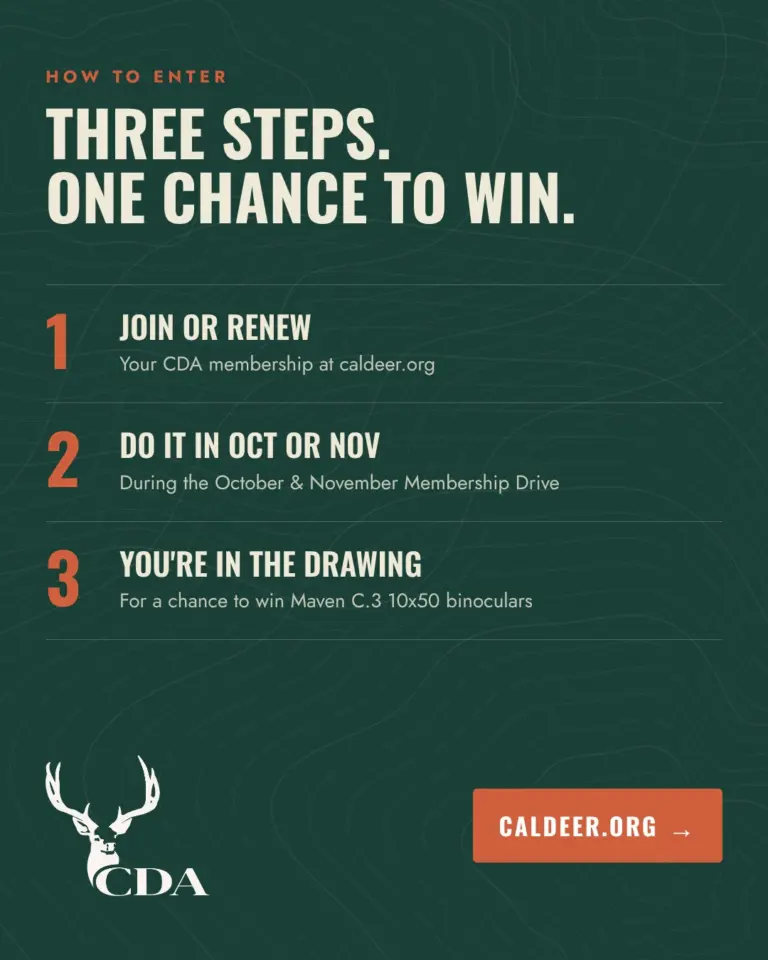 Instagram post from caldeerassoc. This post is in position 4.